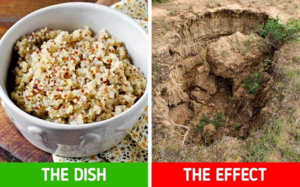 6 Healthy Foods That Are Surprisingly Harmful to the Environment