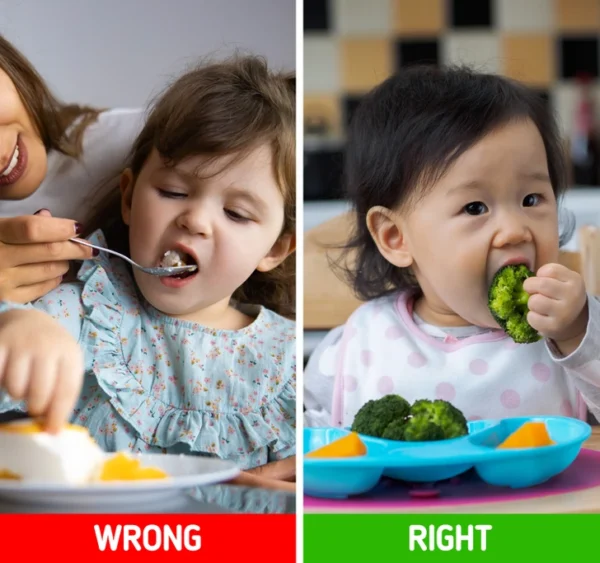 8 Strategies to Encourage Your Child to Eat Healthy Foods